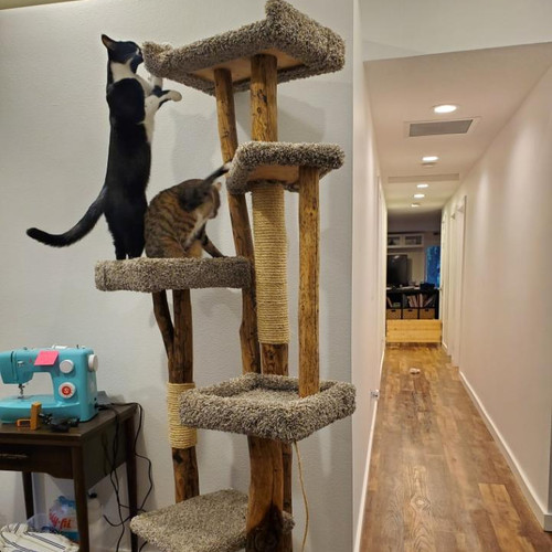 Handmade WTW cat tree in a customer home
