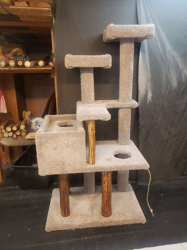 71" Maine Coon Cat Tree with Box Retreat